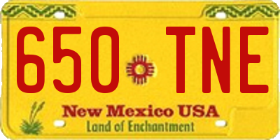 NM license plate 650TNE