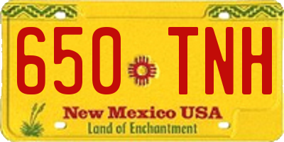 NM license plate 650TNH