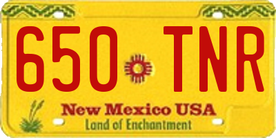 NM license plate 650TNR