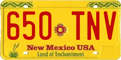 NM license plate 650TNV