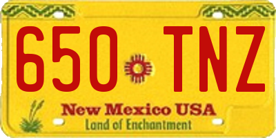 NM license plate 650TNZ