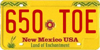 NM license plate 650TOE