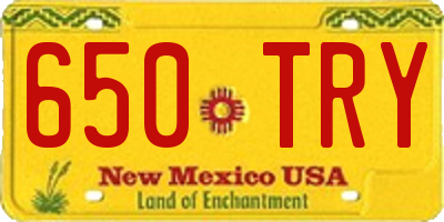 NM license plate 650TRY
