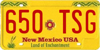 NM license plate 650TSG