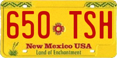 NM license plate 650TSH