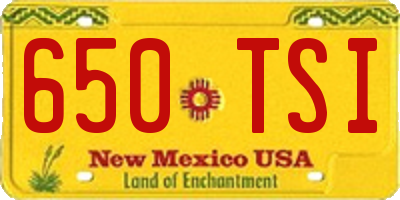 NM license plate 650TSI