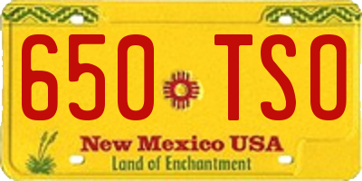 NM license plate 650TSO