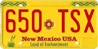 NM license plate 650TSX