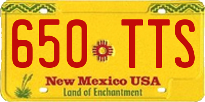 NM license plate 650TTS