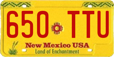 NM license plate 650TTU