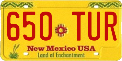 NM license plate 650TUR