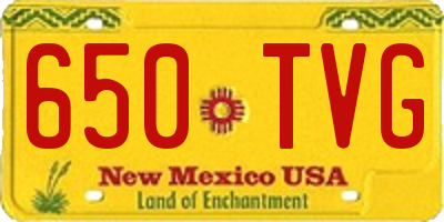 NM license plate 650TVG