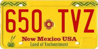 NM license plate 650TVZ