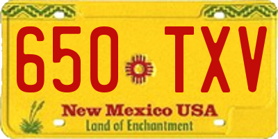 NM license plate 650TXV
