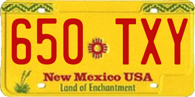 NM license plate 650TXY