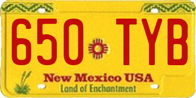NM license plate 650TYB