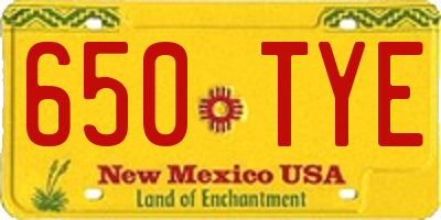 NM license plate 650TYE