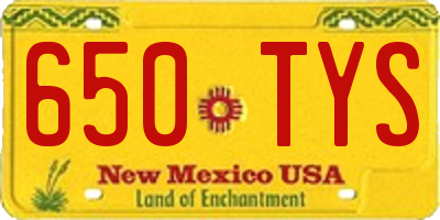 NM license plate 650TYS