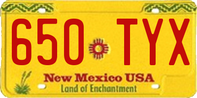 NM license plate 650TYX