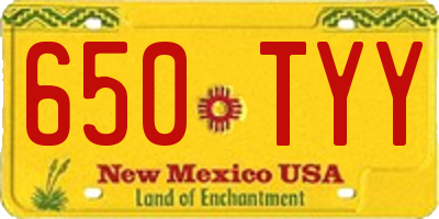 NM license plate 650TYY