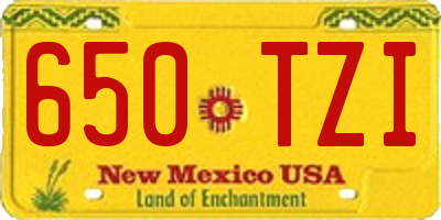 NM license plate 650TZI