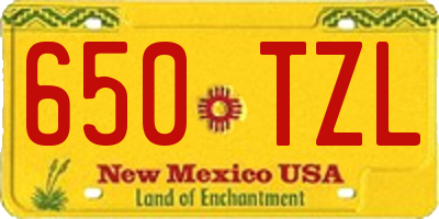 NM license plate 650TZL