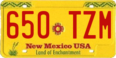 NM license plate 650TZM