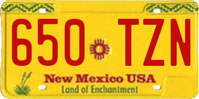 NM license plate 650TZN