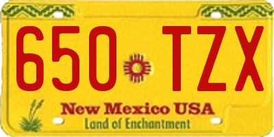 NM license plate 650TZX