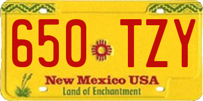 NM license plate 650TZY