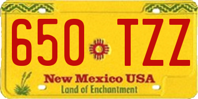 NM license plate 650TZZ