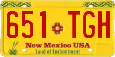 NM license plate 651TGH