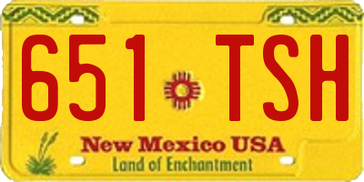 NM license plate 651TSH