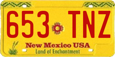 NM license plate 653TNZ
