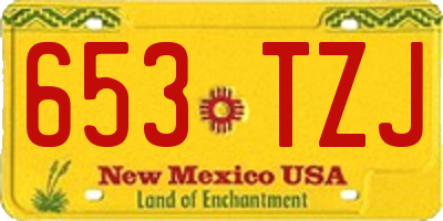 NM license plate 653TZJ