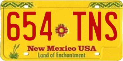 NM license plate 654TNS