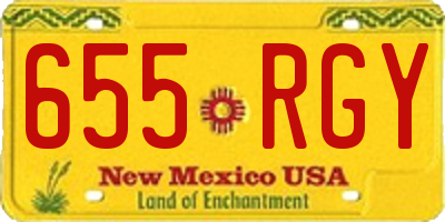 NM license plate 655RGY