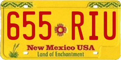 NM license plate 655RIU