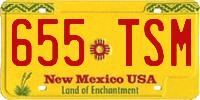 NM license plate 655TSM