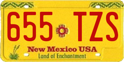 NM license plate 655TZS