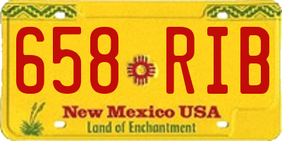 NM license plate 658RIB