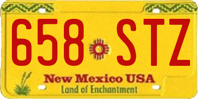 NM license plate 658STZ