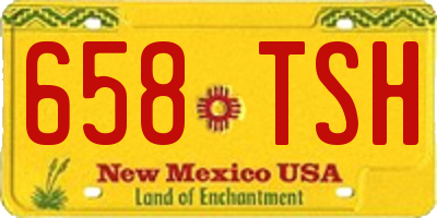 NM license plate 658TSH