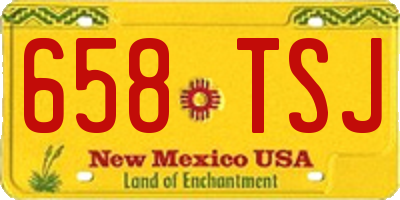 NM license plate 658TSJ