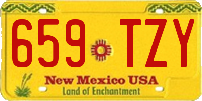 NM license plate 659TZY