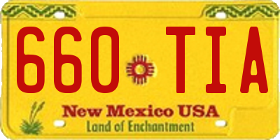 NM license plate 660TIA