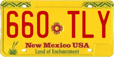 NM license plate 660TLY