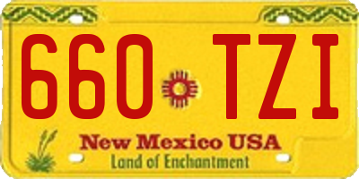 NM license plate 660TZI