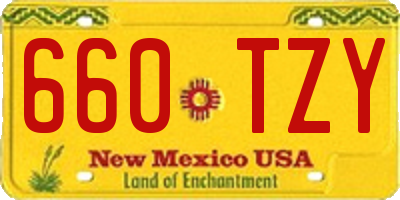 NM license plate 660TZY