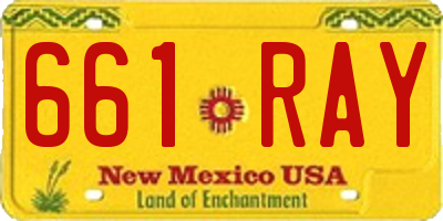 NM license plate 661RAY